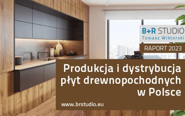 Raport „Produkcja i dystrybucja płyt drewnopochodnych w Polsce 2023” już dostępny